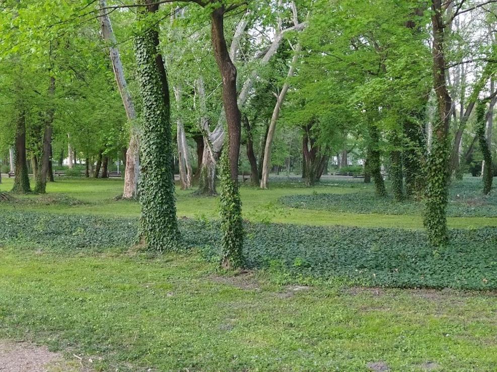 Appartamento Nelli Apartman Keszthely Esterno foto